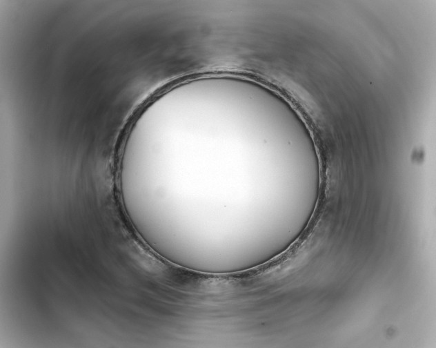 X0000103931212200809191342
