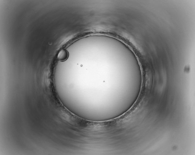 X0000103931213200809191342