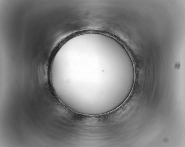 X0000103931214200809191342