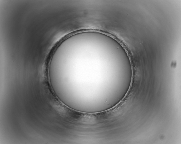 X0000103931215200809191342