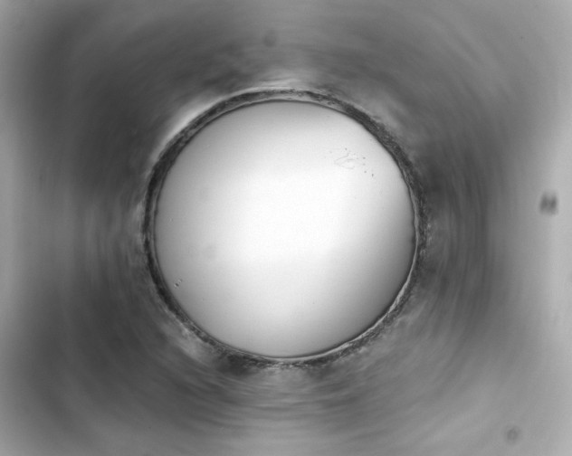 X0000103931216200809191342