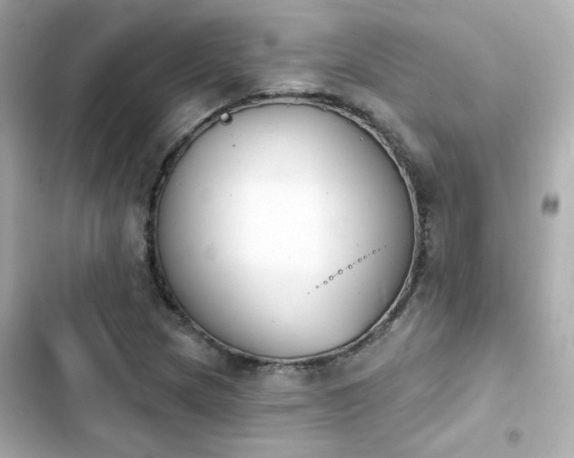 X0000103931217200809191342