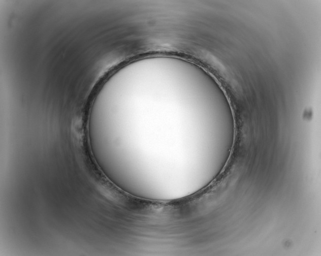 X0000103931218200809191342