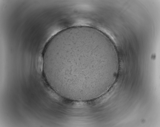 X0000103931219200809191342
