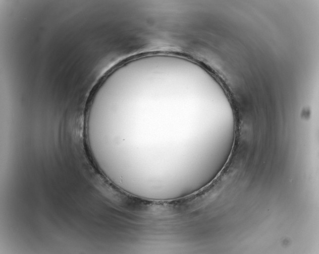 X0000103931220200809191342