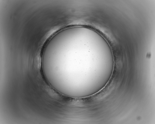 X0000103931221200809191342