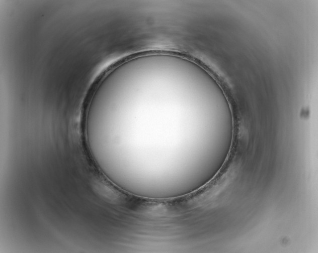 X0000103931222200809191342