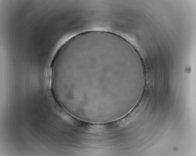 X0000103931223200809191342
