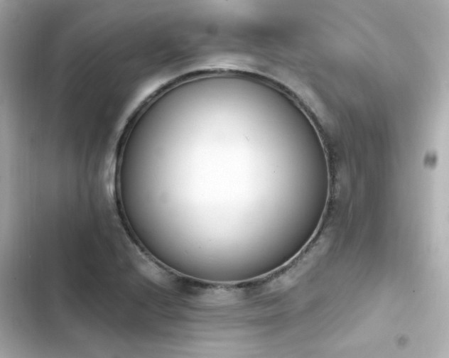 X0000103931224200809191342