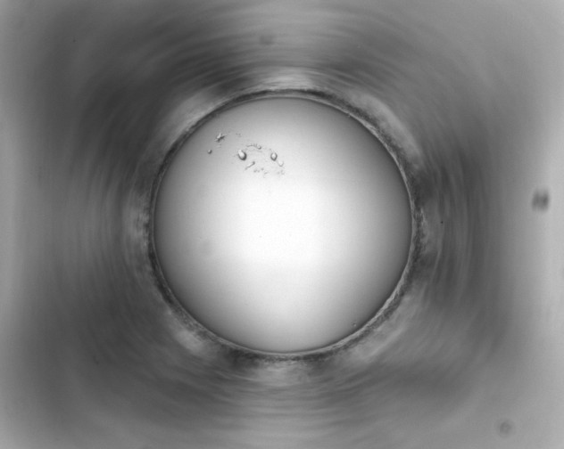 X0000103931225200809191342