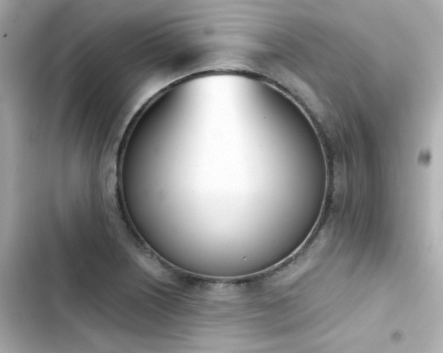X0000103931226200809191342