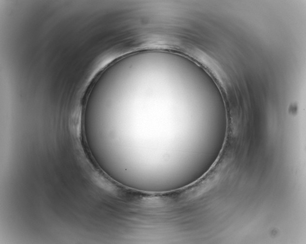 X0000103931227200809191342