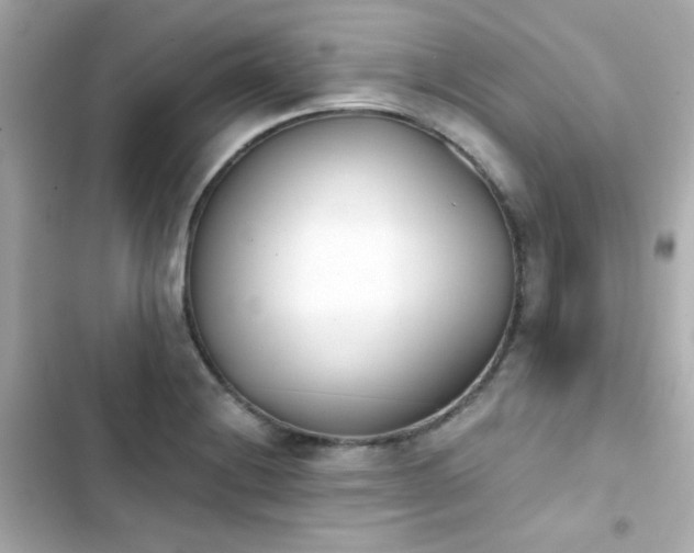 X0000103931228200809191342
