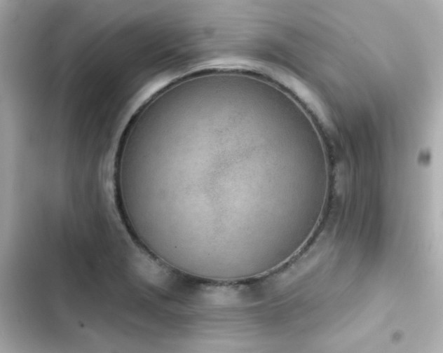 X0000103931229200809191342