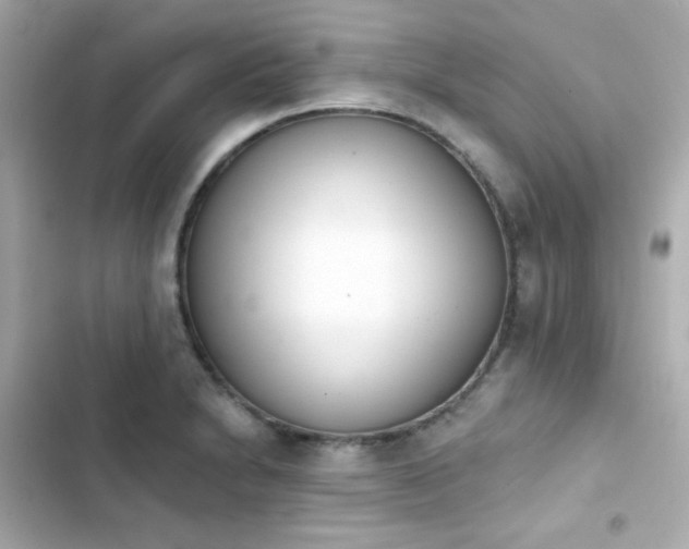 X0000103931230200809191342