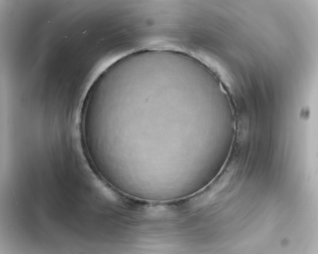 X0000103931231200809191342