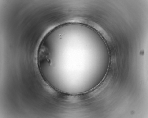 X0000103931232200809191342