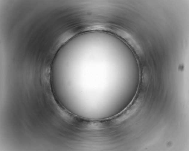 X0000103931233200809191342