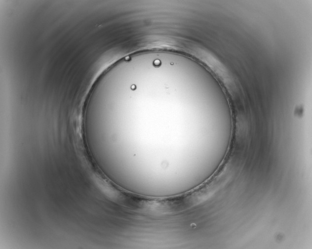 X0000103931234200809191342