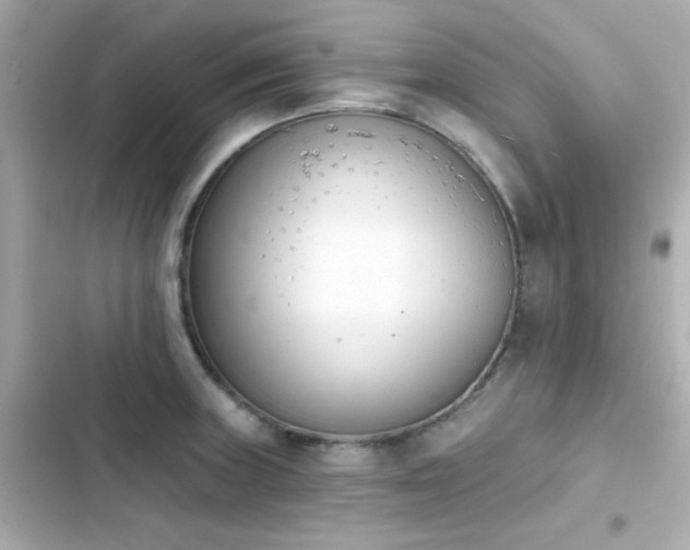 X0000103931235200809191342