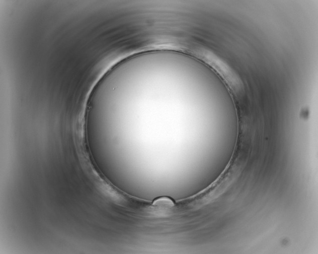 X0000103931236200809191342