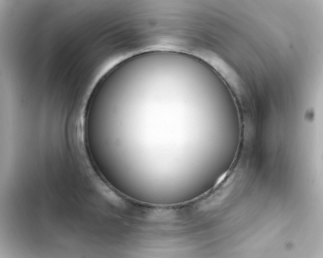 X0000103931238200809191342