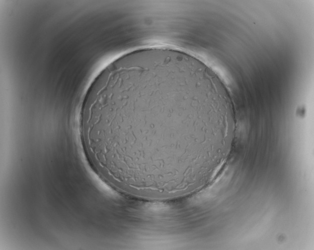 X0000103931239200809191342
