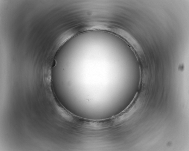 X0000103931241200809191342