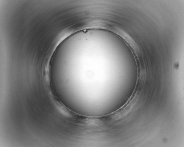X0000103931242200809191342