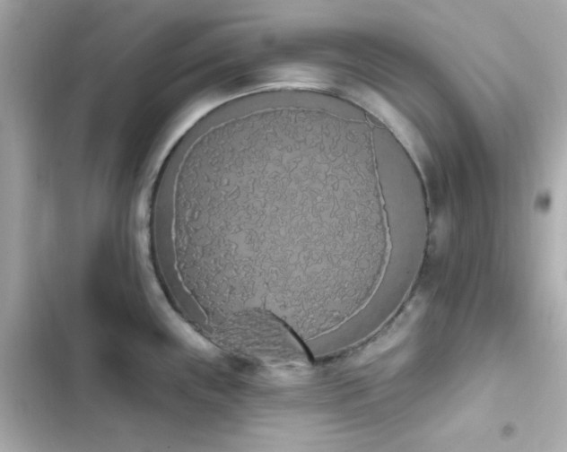 X0000103931243200809191342