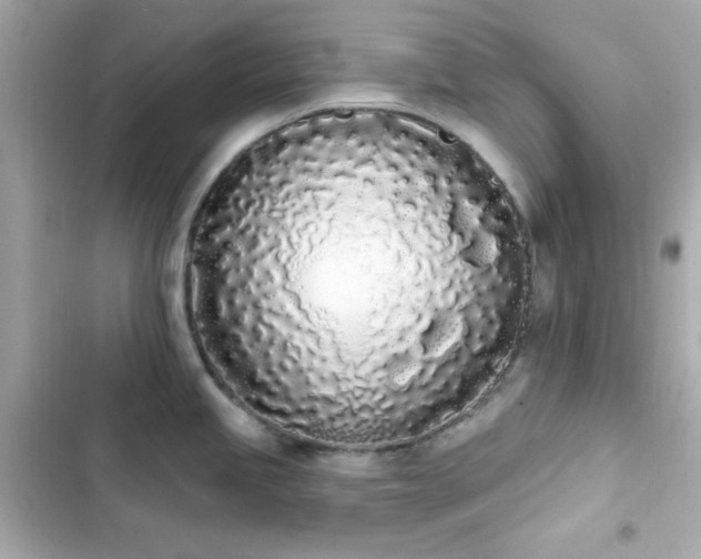 X0000103931245200809191342