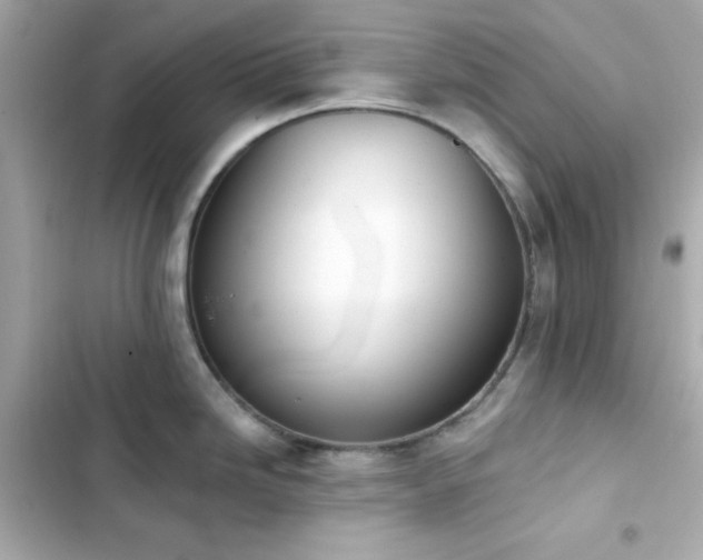 X0000103931246200809191342