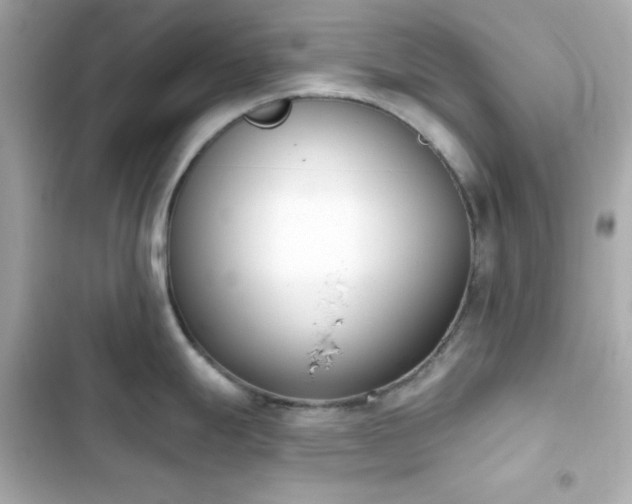 X0000103931247200809191342