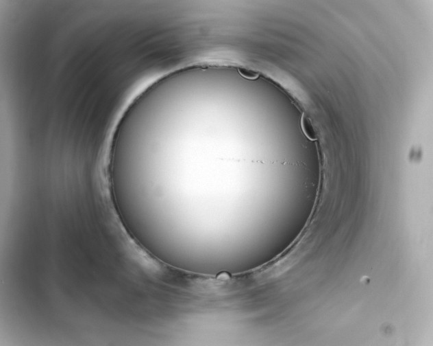 X0000103931248200809191342