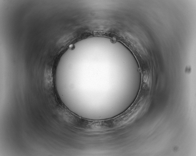 X0000103931252200809191341