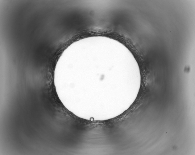 X0000103931253200809191341