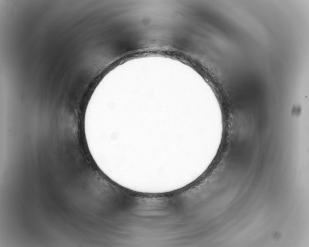 X0000103931257200809191341