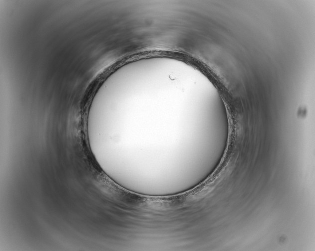 X0000103931258200809191341