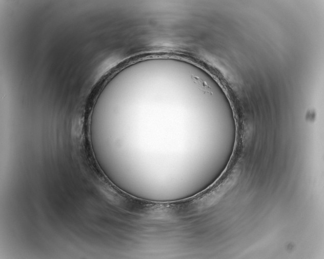 X0000103931259200809191341