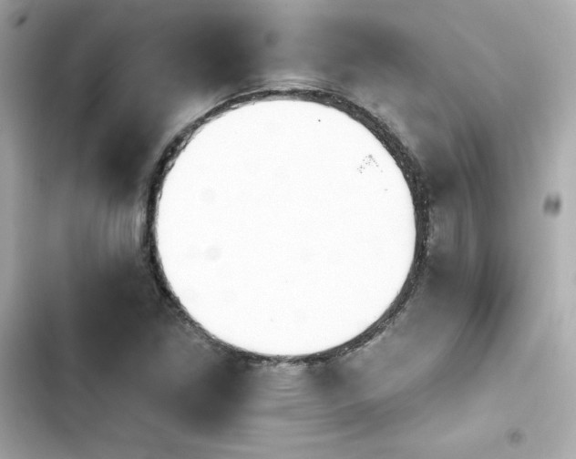 X0000103931261200809191341