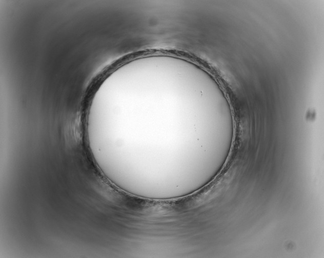 X0000103931262200809191341