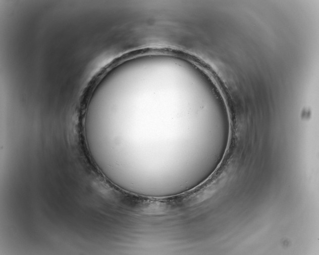 X0000103931263200809191341