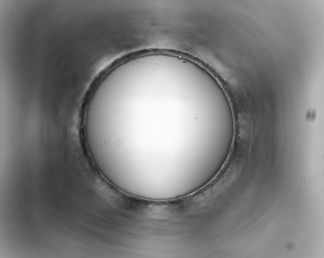 X0000103931264200809191341