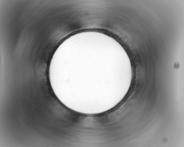 X0000103931265200809191341