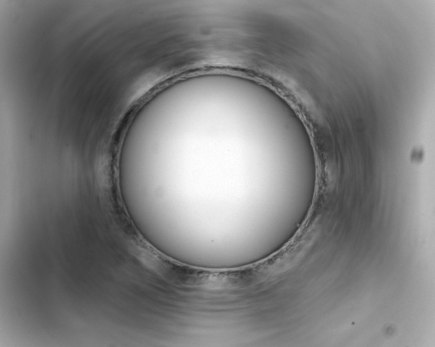 X0000103931266200809191341