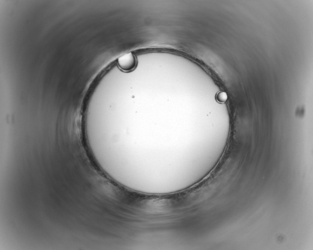 X0000103931268200809191341
