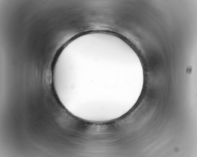 X0000103931269200809191341