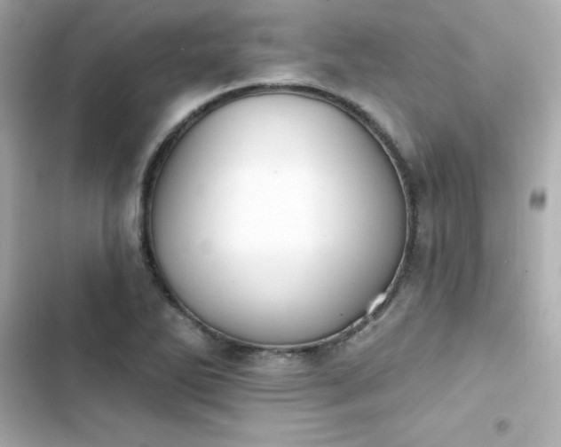 X0000103931270200809191341