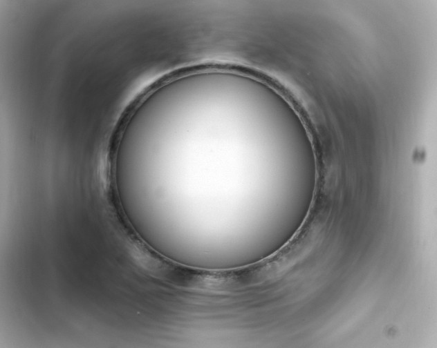 X0000103931271200809191341