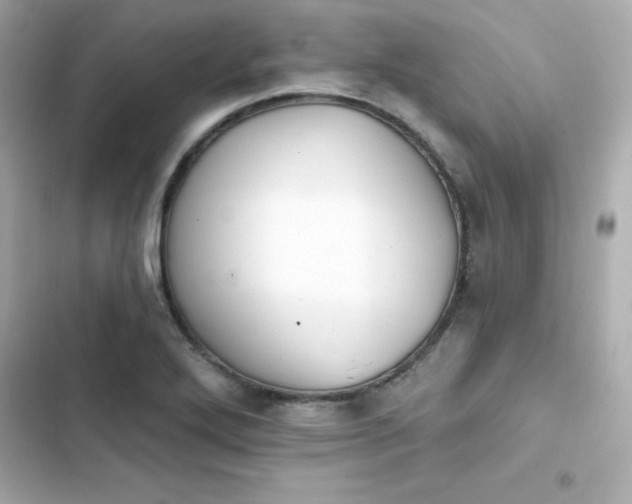 X0000103931272200809191341